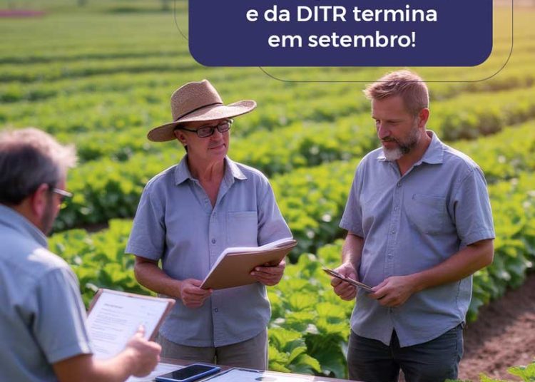 Evite problemas com o Fisco: prazo da ECF e da DITR termina em setembro!