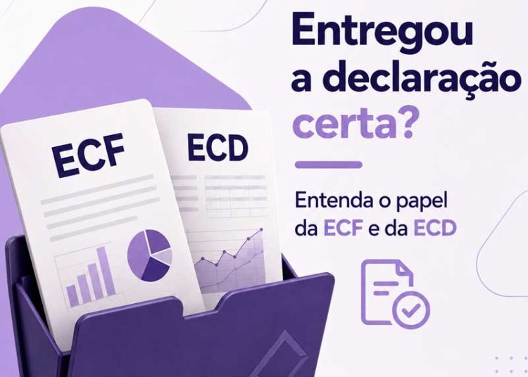 Entregou a declaração certa? Entenda o papel da ECF e da ECD